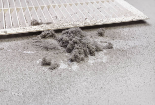 Best HVAC Duct Inspection Services  in Mercedes, TX