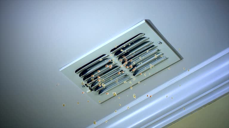 Best Commercial HVAC Duct Cleaning  in Mercedes, TX