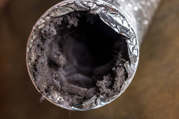 Best HVAC Duct Inspection Services  in Mercedes, TX
