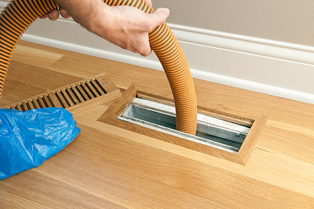 Best Air Vent Cleaning Services  in Mercedes, TX