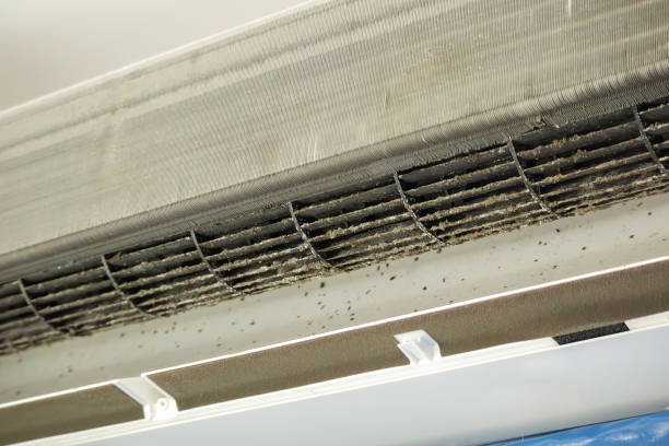 Best Best Air Duct Cleaning Near Me  in Mercedes, TX