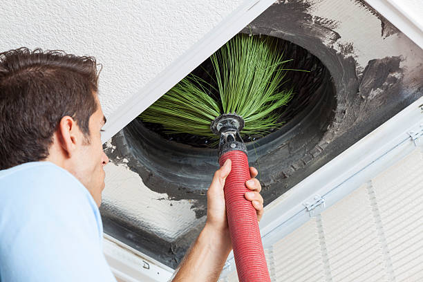 Best Home Air Vent Cleaning  in Mercedes, TX